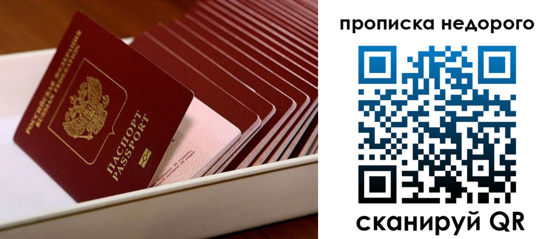 прописка паспорт в Вельске